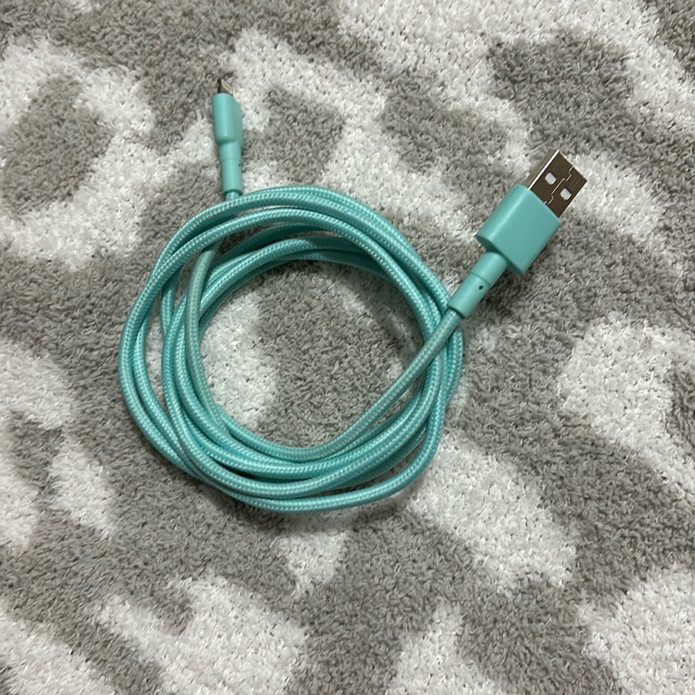 10ft Teal IPhone charging cord